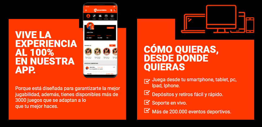 betwarrior app